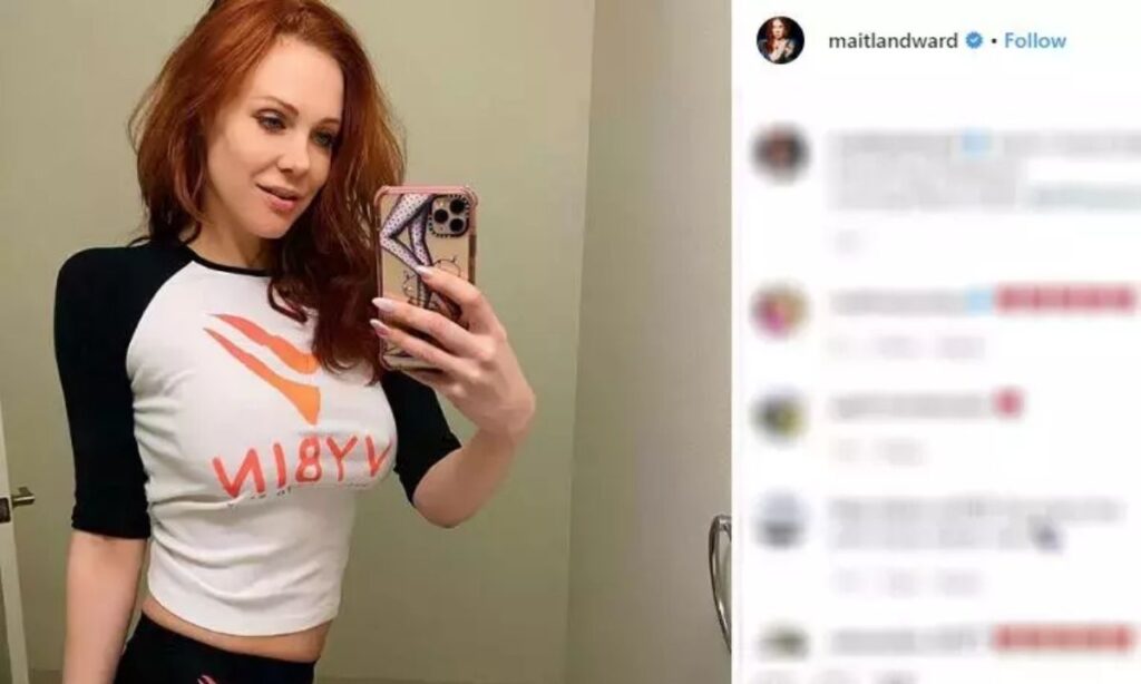 social-media-following-and-content-creation