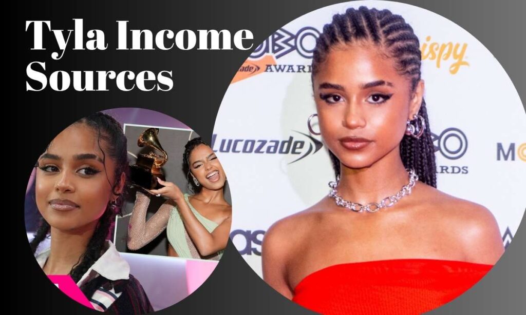 how-tyla-built-her-fortune-main-income-sources